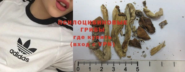 прущие крисы Вязники