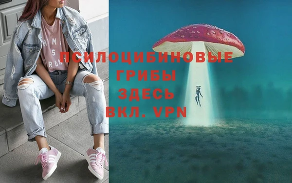 spice Вязьма